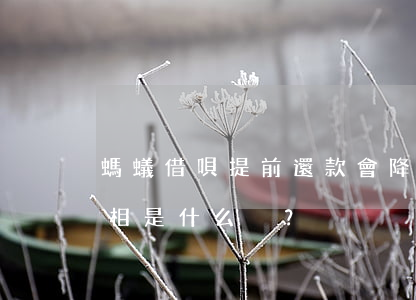 螞蟻借唄提前還款會降低額度嗎？真相是什么？